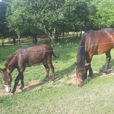 אתר קמפינג Caravane 70's Saint-Marcet